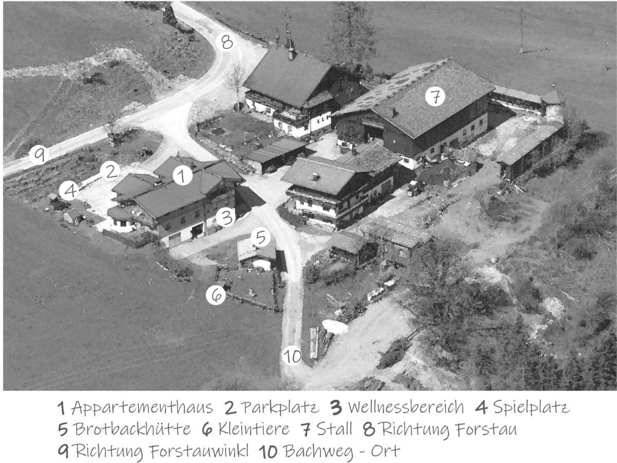 Oeko-Appartements Fallhaus Forstau  Zewnętrze zdjęcie
